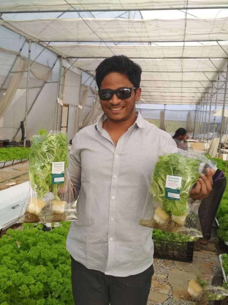 hydroponics investment in Hyderabad