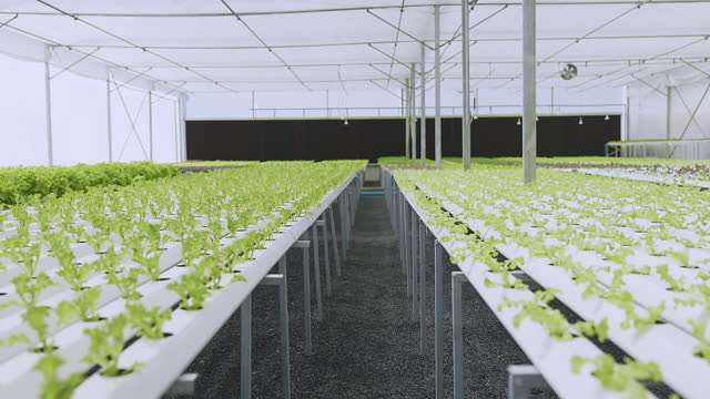 starting a hydroponic farm