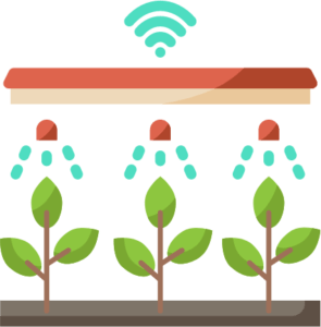 fully automated hydroponic system